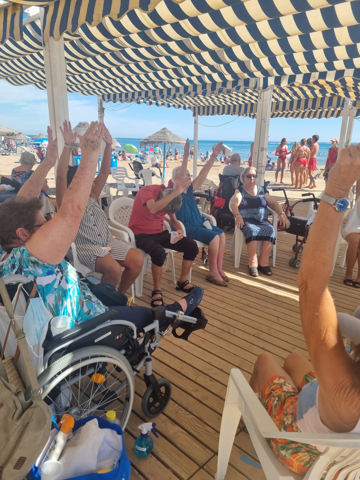 Lee más sobre el artículo Manises en la playa